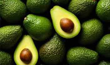 Avocados